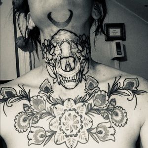 Meet your Posher, Amelia